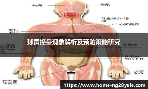 球员撞晕现象解析及预防策略研究